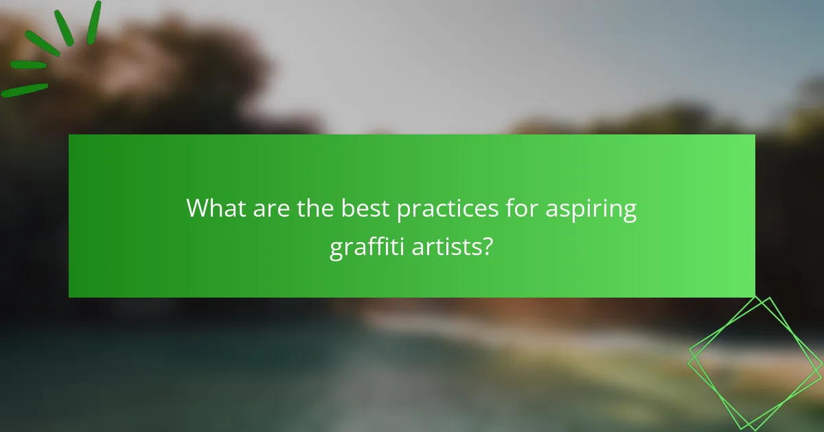 What are the best practices for aspiring graffiti artists?